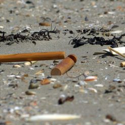 Alternative view of haaknaald bamboe