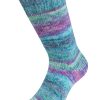Lana grossa cosy sock dream 255