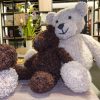 winter 26/27 staat in het teken van teddy
